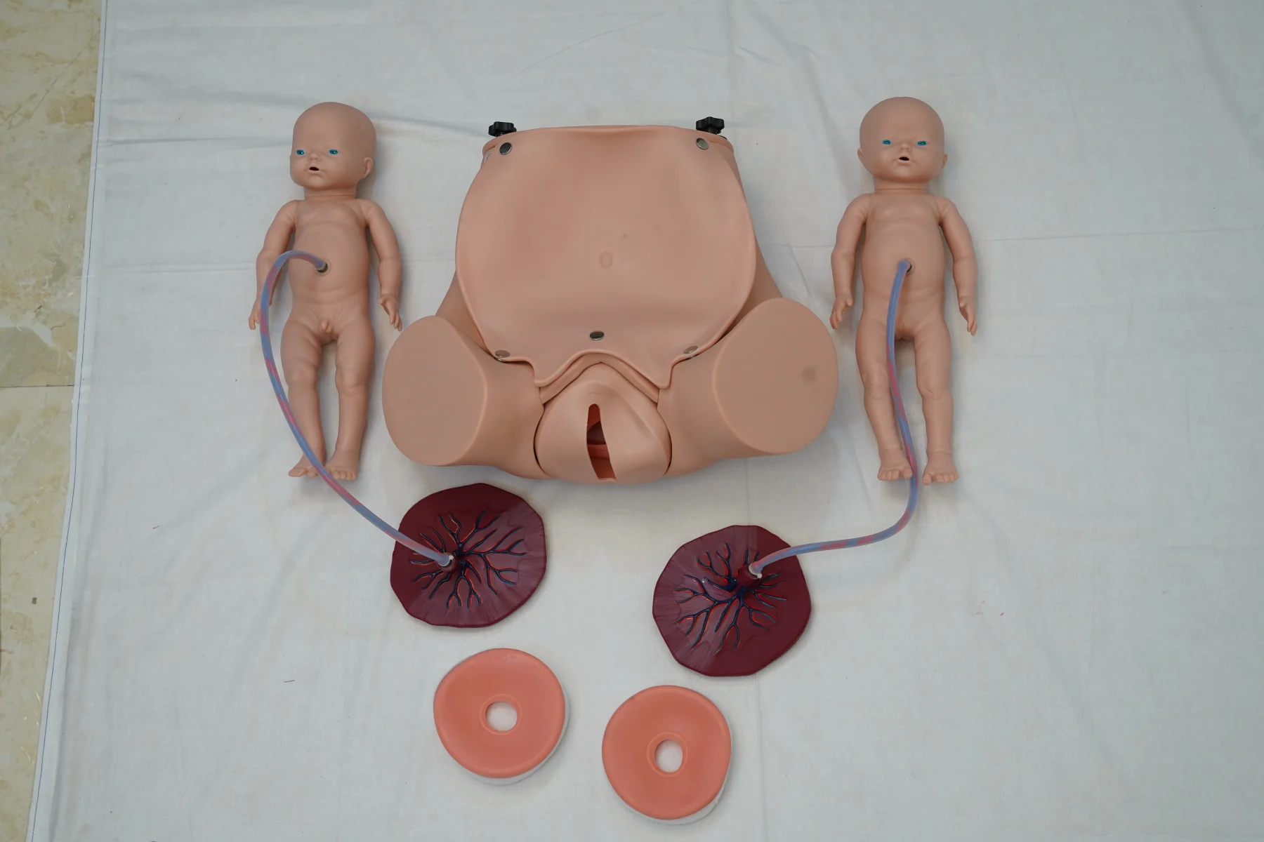 Advanced Delivery Mechanism Demonstration Simulator thumbnail 5