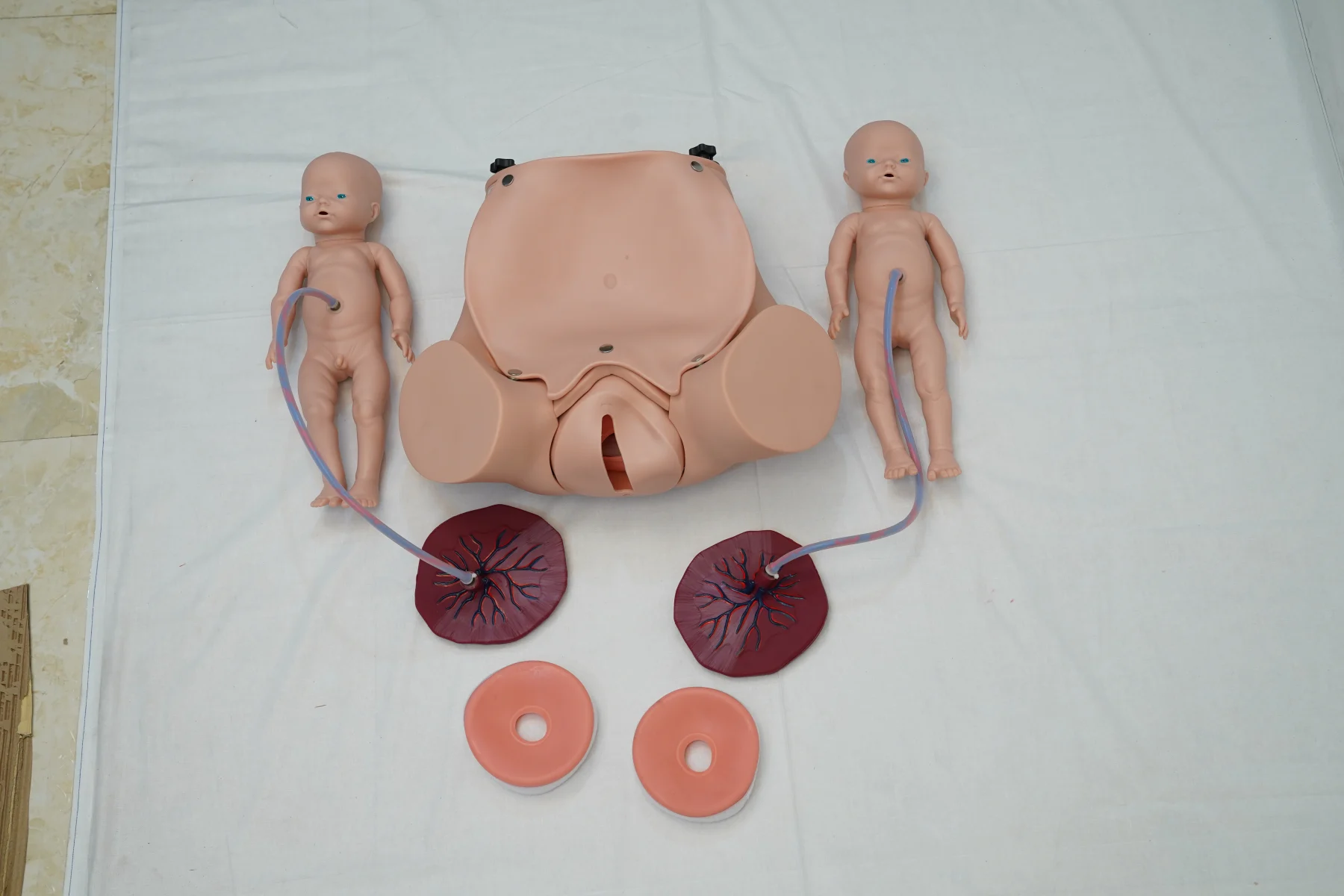 Advanced Delivery Mechanism Demonstration Simulator