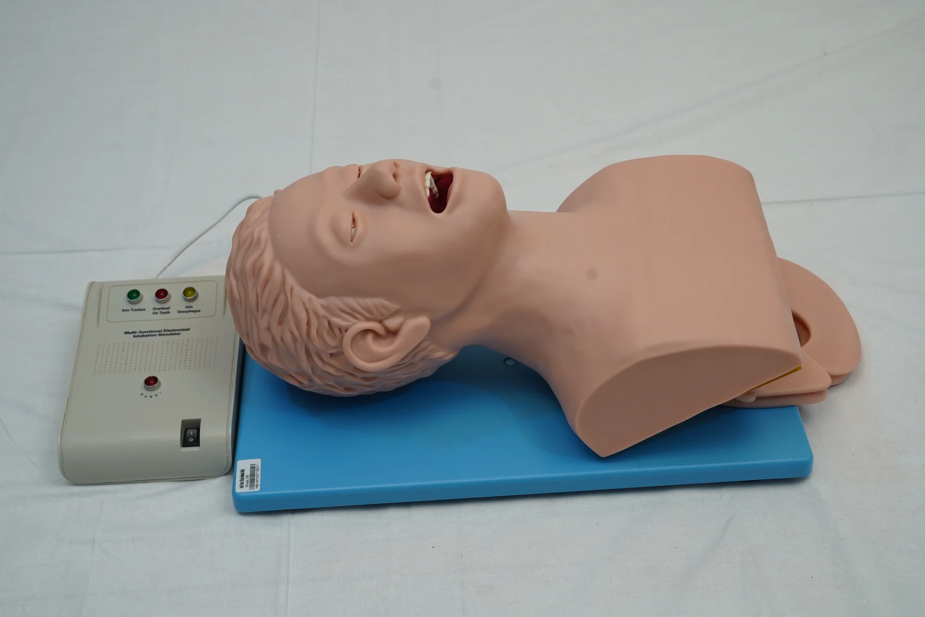 Airway Intubation Model