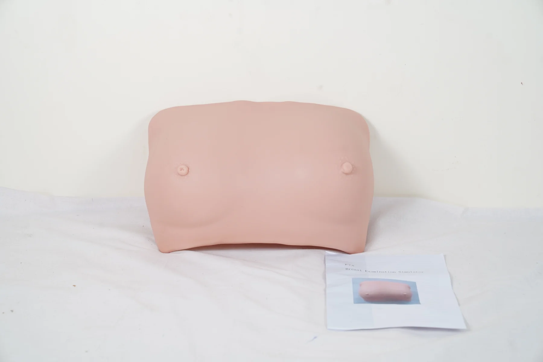 Breast Examination Simulator thumbnail 3