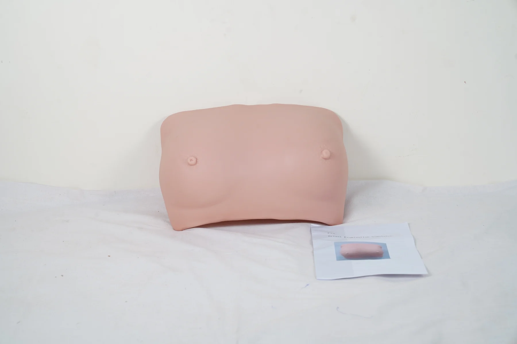 Breast Examination Simulator thumbnail 4