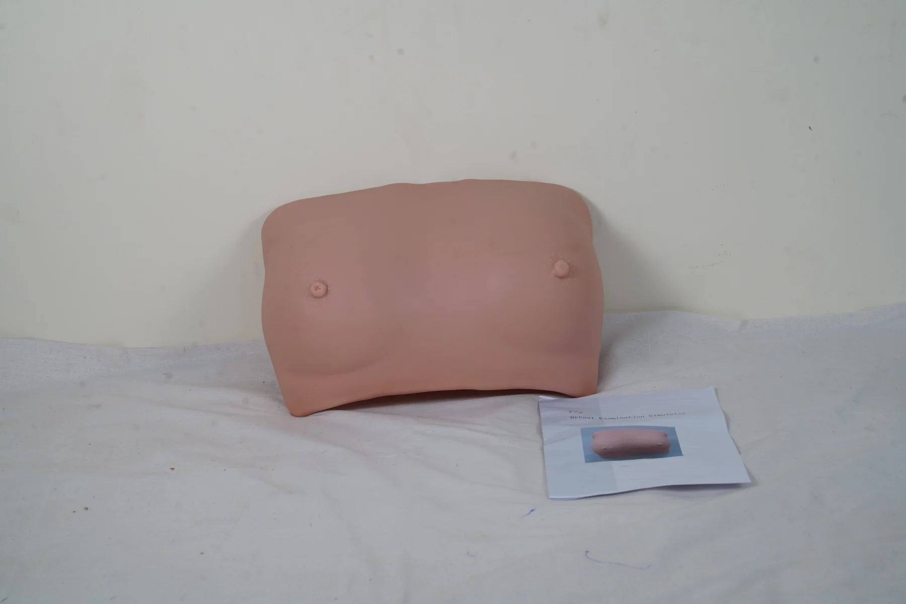 Breast Examination Simulator thumbnail 5