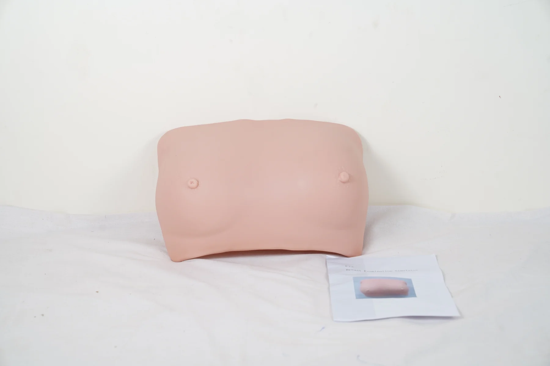 Breast Examination Simulator thumbnail 2