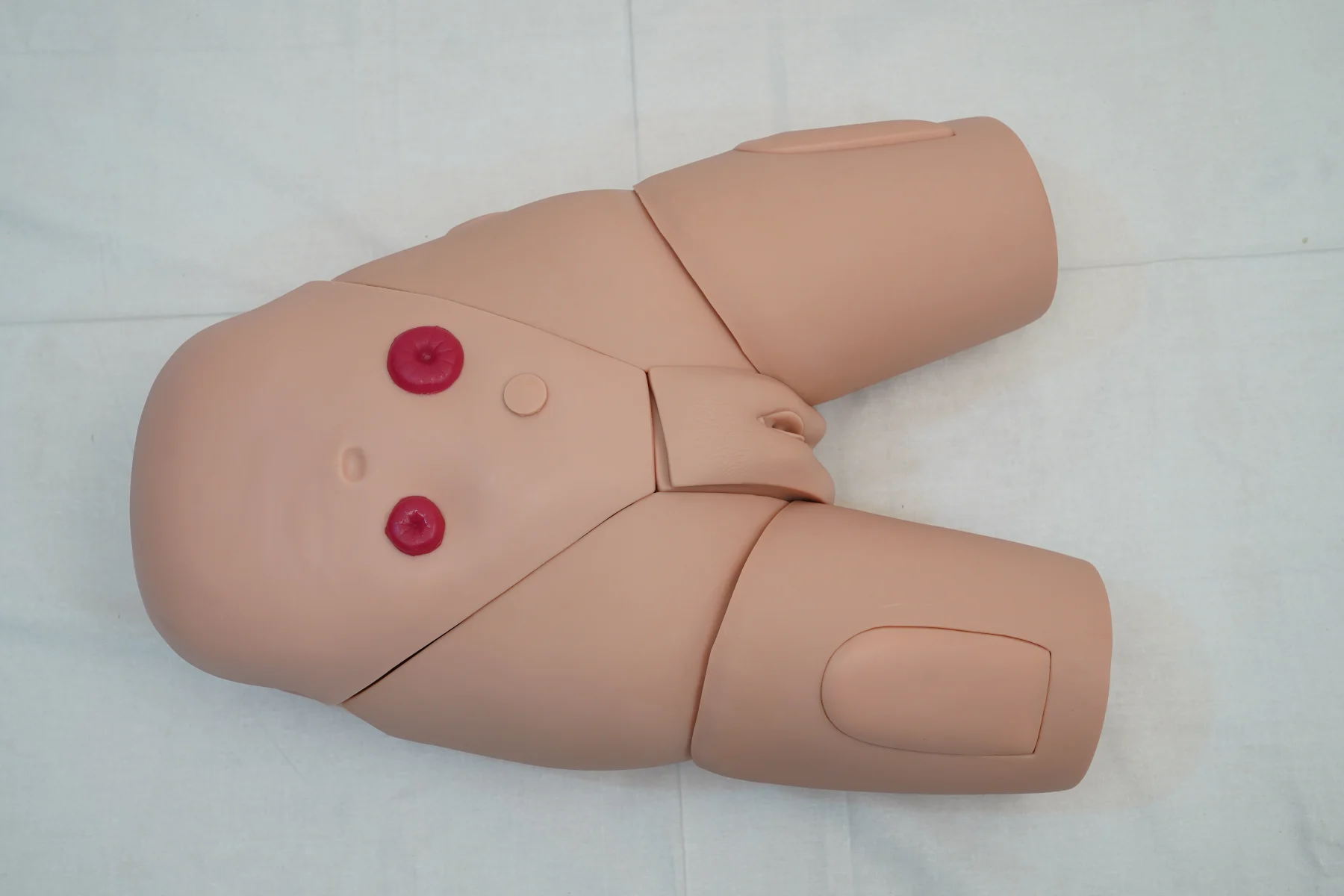 Female Catheterization Training Simulator