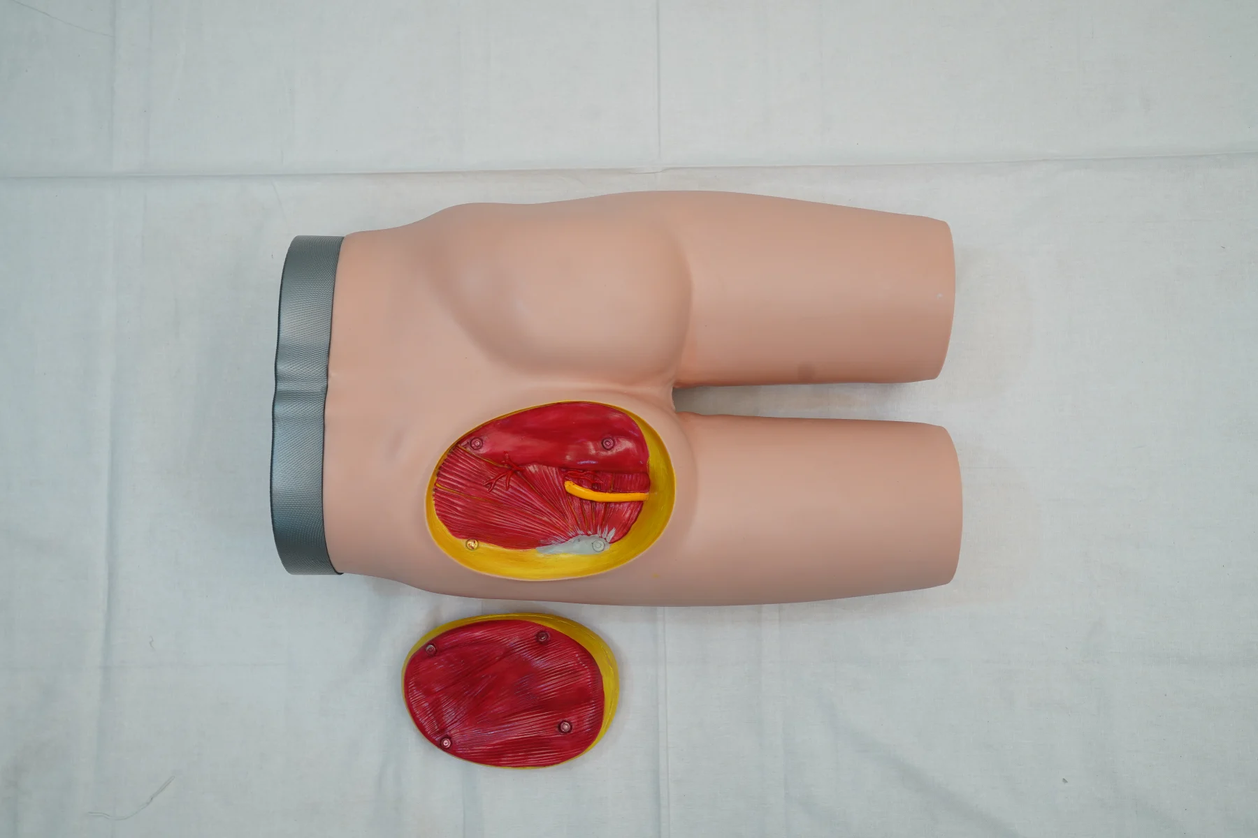 Intramuscular Injection Training Manikin