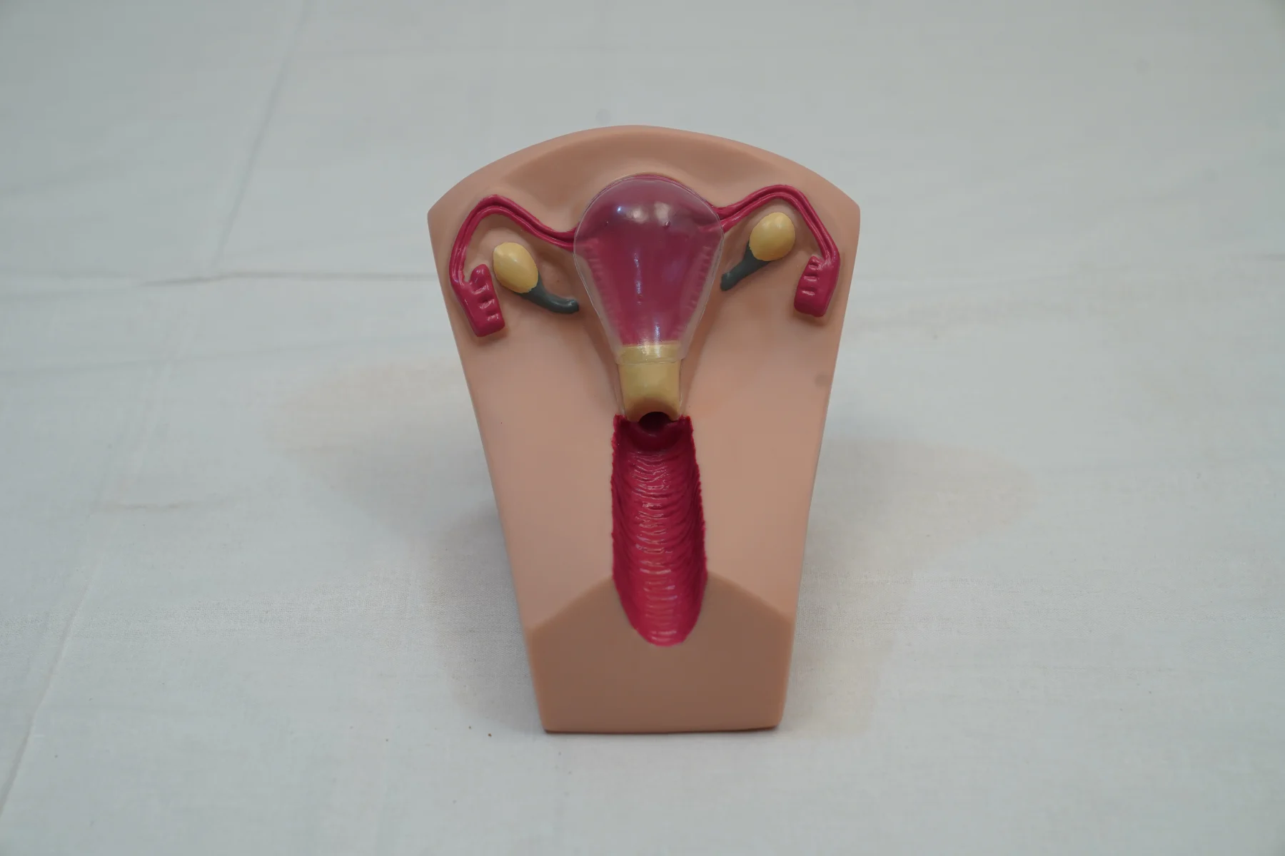 IUD Training Simulator thumbnail 2