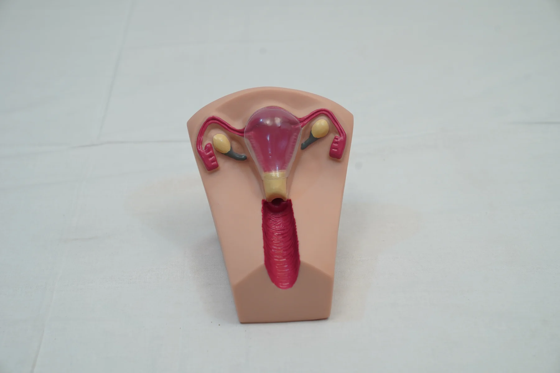 IUD Training Simulator thumbnail 3