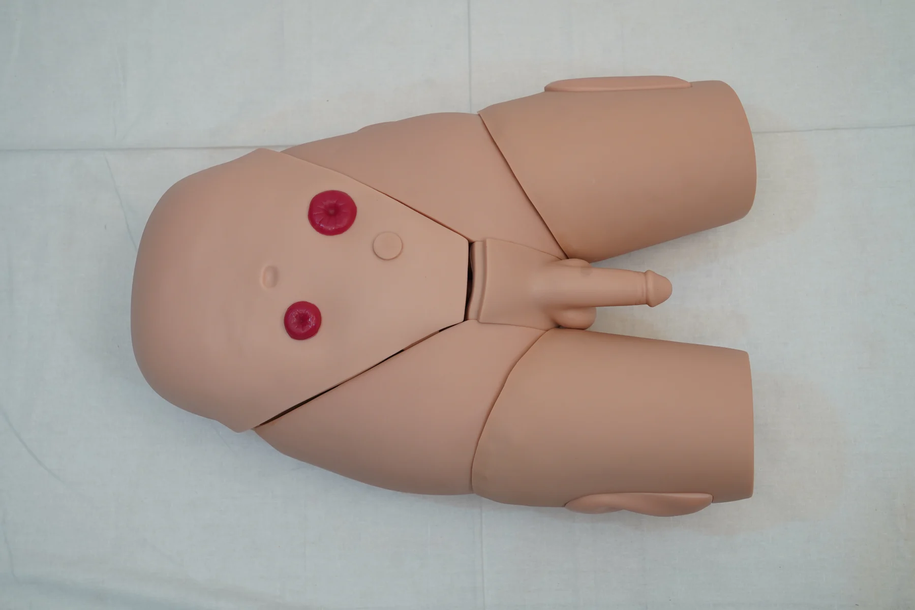 Male Catheterization Training Simulator thumbnail 5