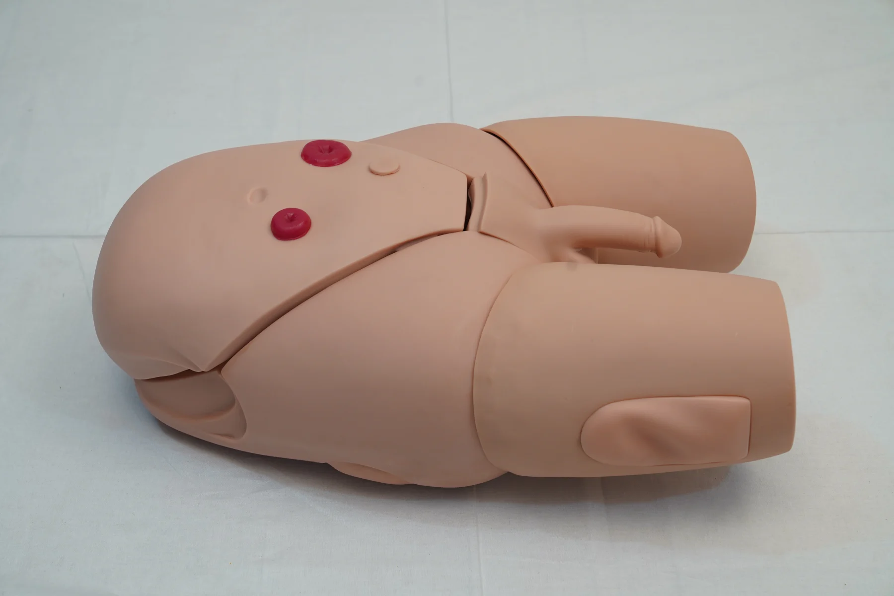 Male Catheterization Training Simulator thumbnail 8