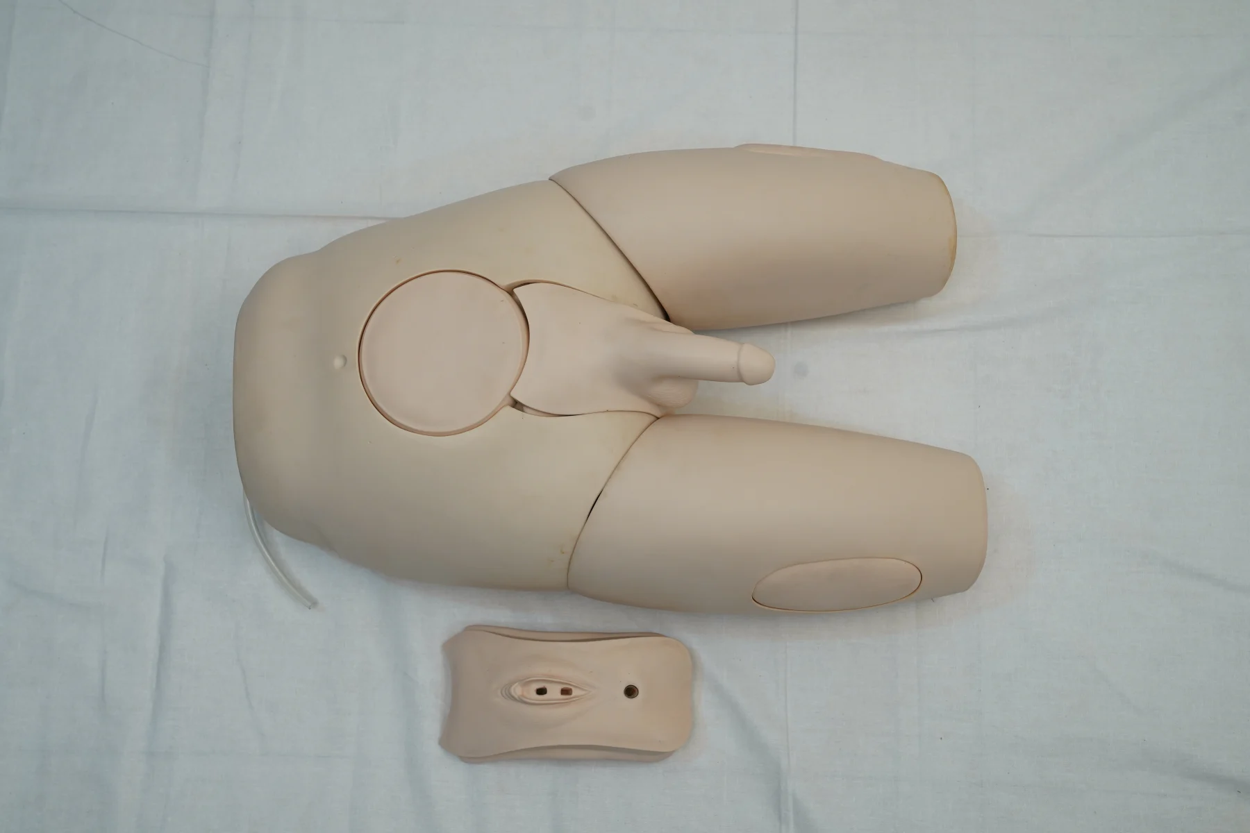 Male Catheterization Training Simulator