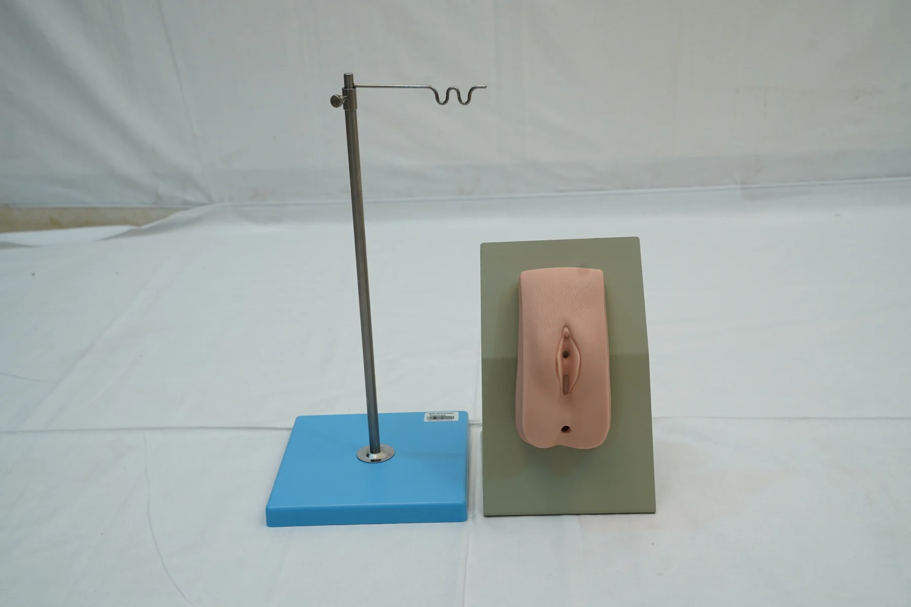 Catheterization Training Simulator Female thumbnail 2