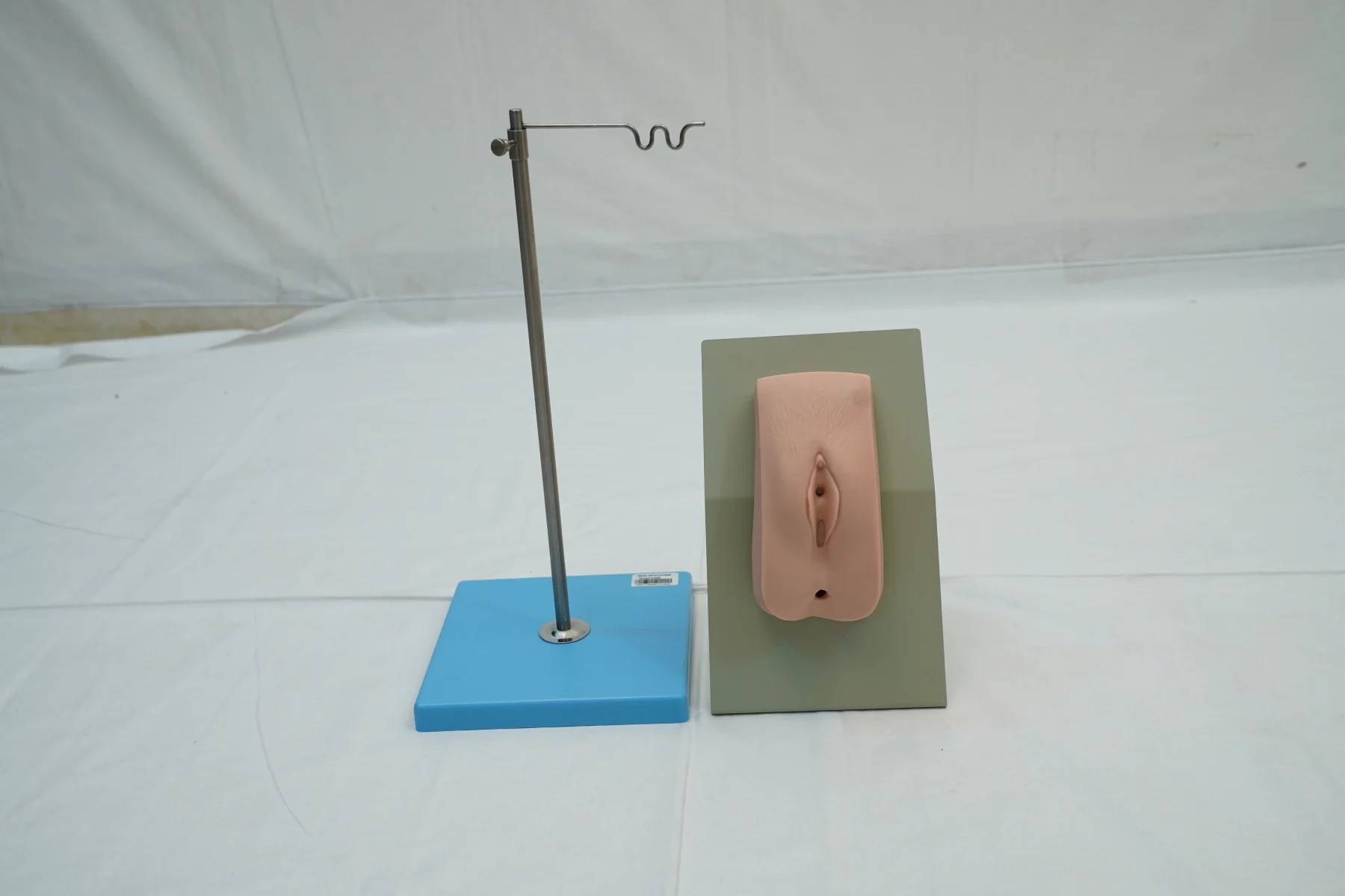 Catheterization Training Simulator Female