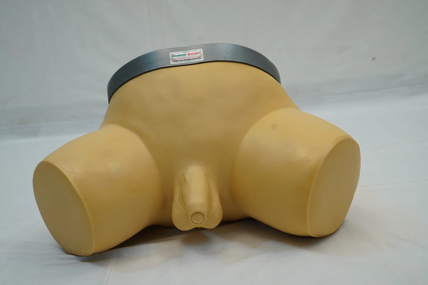 Prostate Examination Simulator thumbnail 2