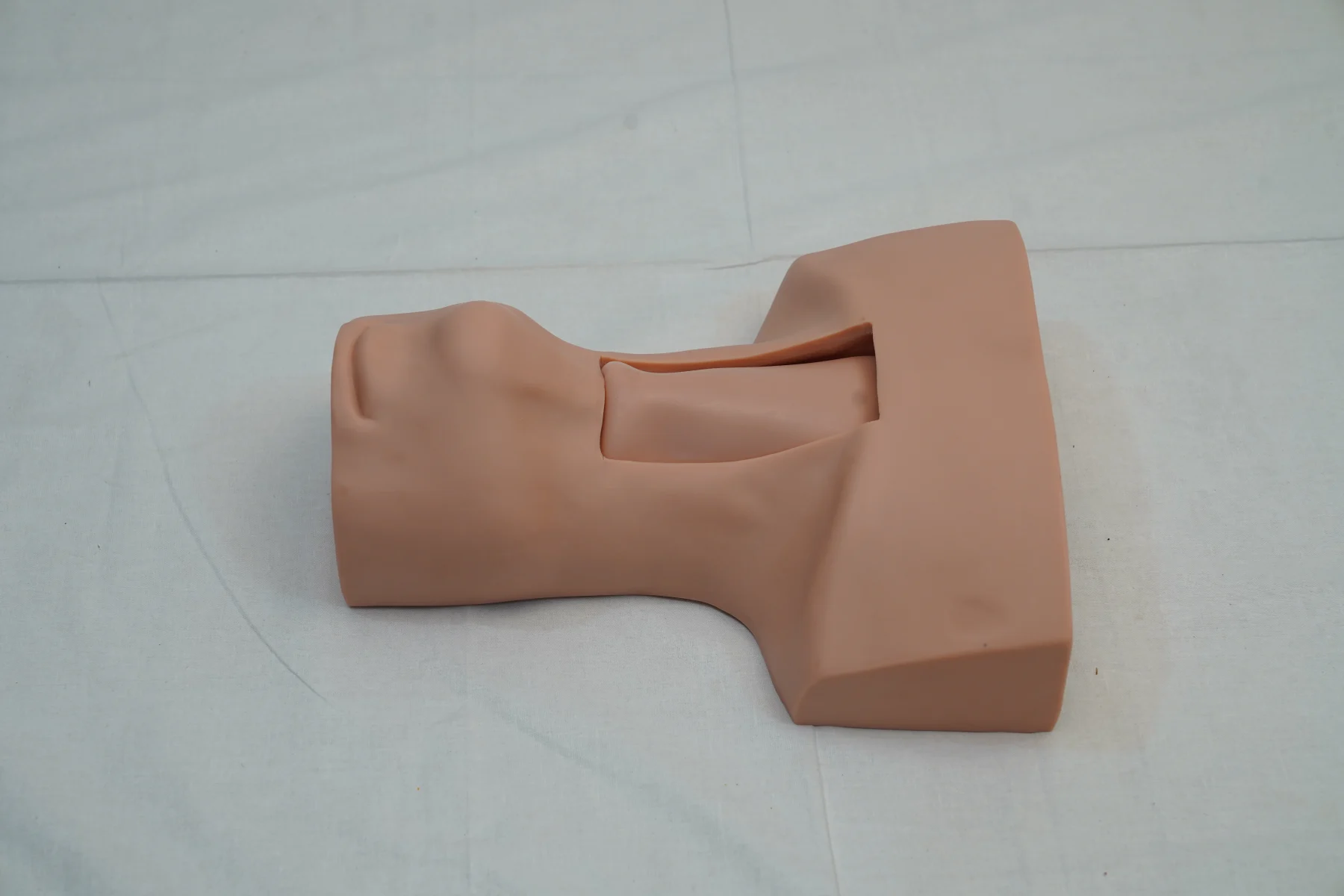 Tracheotomy and Endotracheal Intubation Model